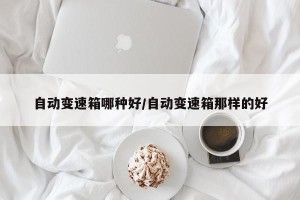 自动变速箱哪种好/自动变速箱那样的好