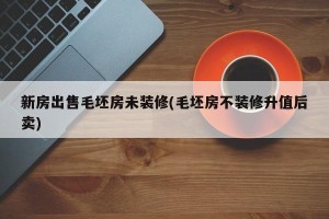 新房出售毛坯房未装修(毛坯房不装修升值后卖)