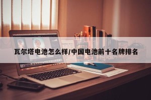 瓦尔塔电池怎么样/中国电池前十名牌排名