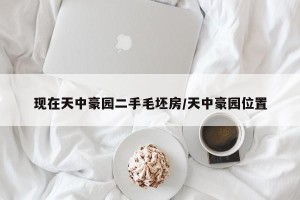 现在天中豪园二手毛坯房/天中豪园位置