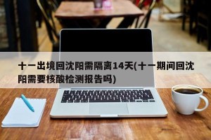 十一出境回沈阳需隔离14天(十一期间回沈阳需要核酸检测报告吗)