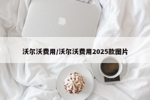 沃尔沃费用/沃尔沃费用2025款图片