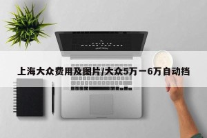 上海大众费用及图片/大众5万一6万自动挡