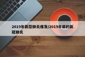 2019年新型肺炎爆发/2019年底的新冠肺炎