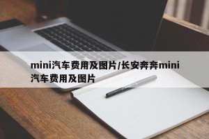 mini汽车费用及图片/长安奔奔mini汽车费用及图片