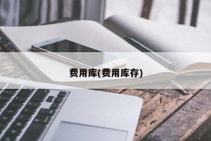 费用库(费用库存)