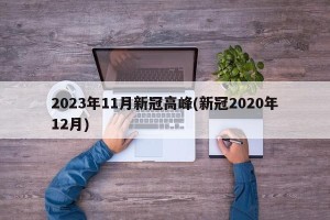 2023年11月新冠高峰(新冠2020年12月)