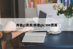 奔驰gl费用/奔驰glc300费用