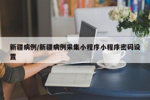 新疆病例/新疆病例采集小程序小程序密码设置