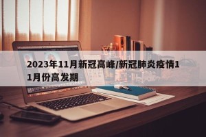 2023年11月新冠高峰/新冠肺炎疫情11月份高发期